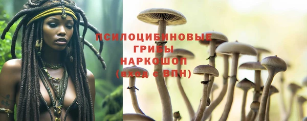 спиды Володарск
