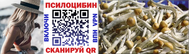 Купить закладки  Льгов  Галлюциногенные грибы мицелий 